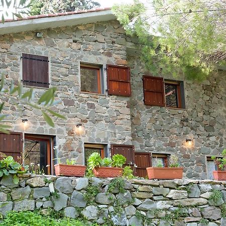 Due Pini Διαμέρισμα Corniglia Εξωτερικό φωτογραφία