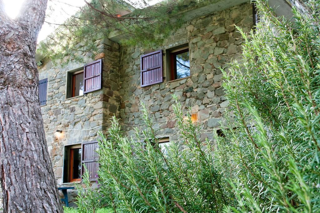 Due Pini Διαμέρισμα Corniglia Εξωτερικό φωτογραφία