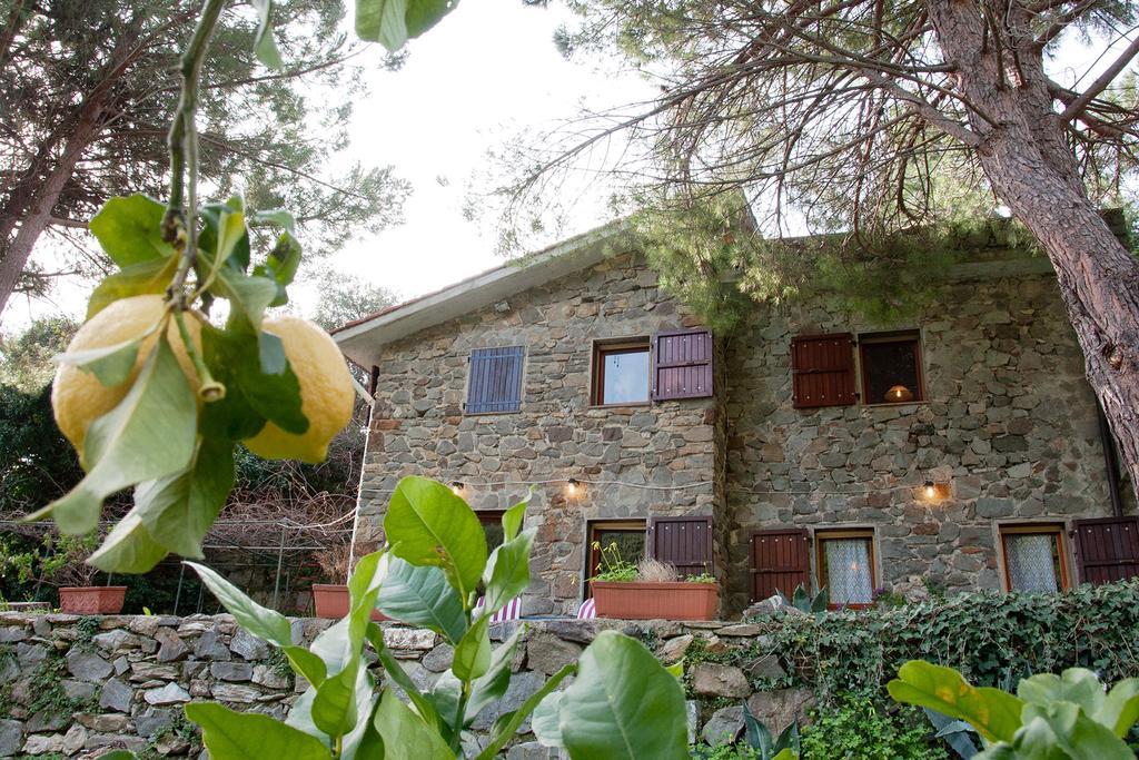 Due Pini Διαμέρισμα Corniglia Εξωτερικό φωτογραφία