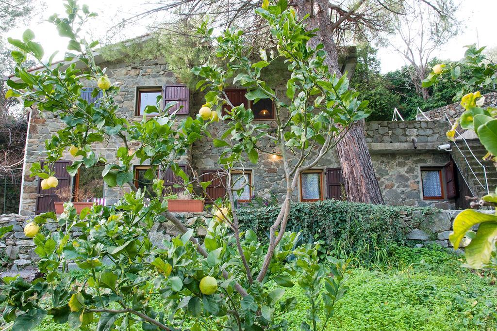 Due Pini Διαμέρισμα Corniglia Εξωτερικό φωτογραφία