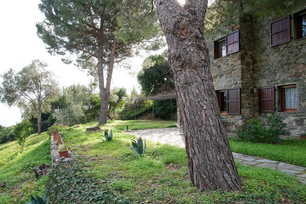 Due Pini Διαμέρισμα Corniglia Εξωτερικό φωτογραφία