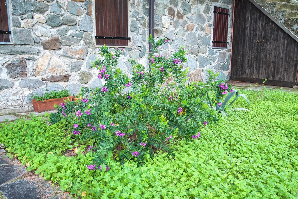 Due Pini Διαμέρισμα Corniglia Εξωτερικό φωτογραφία