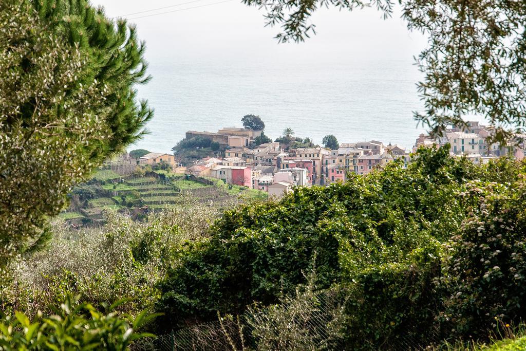 Due Pini Διαμέρισμα Corniglia Εξωτερικό φωτογραφία