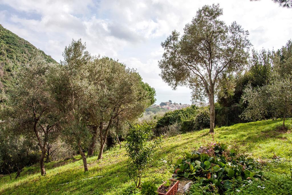 Due Pini Διαμέρισμα Corniglia Εξωτερικό φωτογραφία